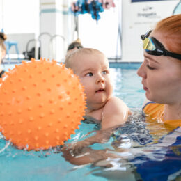 fregata Black Friday zielona góra gregor