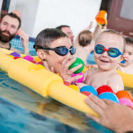 Black Friday fregata swimming