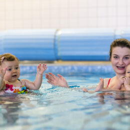 Black Friday fregata swimming