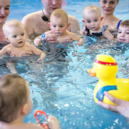 Black Friday fregata swimming