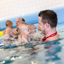 Black Friday fregata swimming