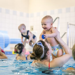 Black Friday fregata swimming