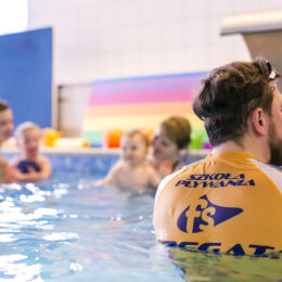 Black Friday fregata swimming