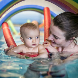 Black Friday fregata swimming